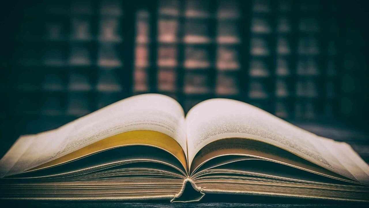 Wilma Elles’in seçtiği Mücella isminin anlamı parlamaya işaret ediyor - 1. Resim