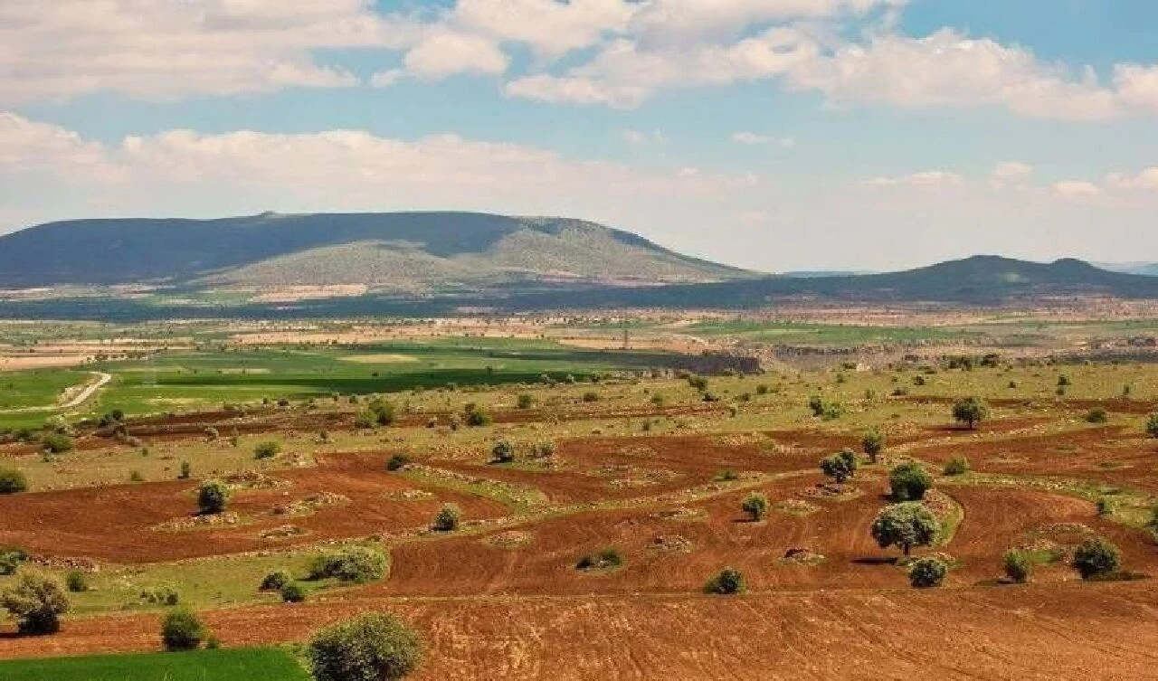 Yeni miras düzenlemesi için tüm detaylar belli oldu! İşte milyonlarca mirasçıyı ilgilendiren sistem