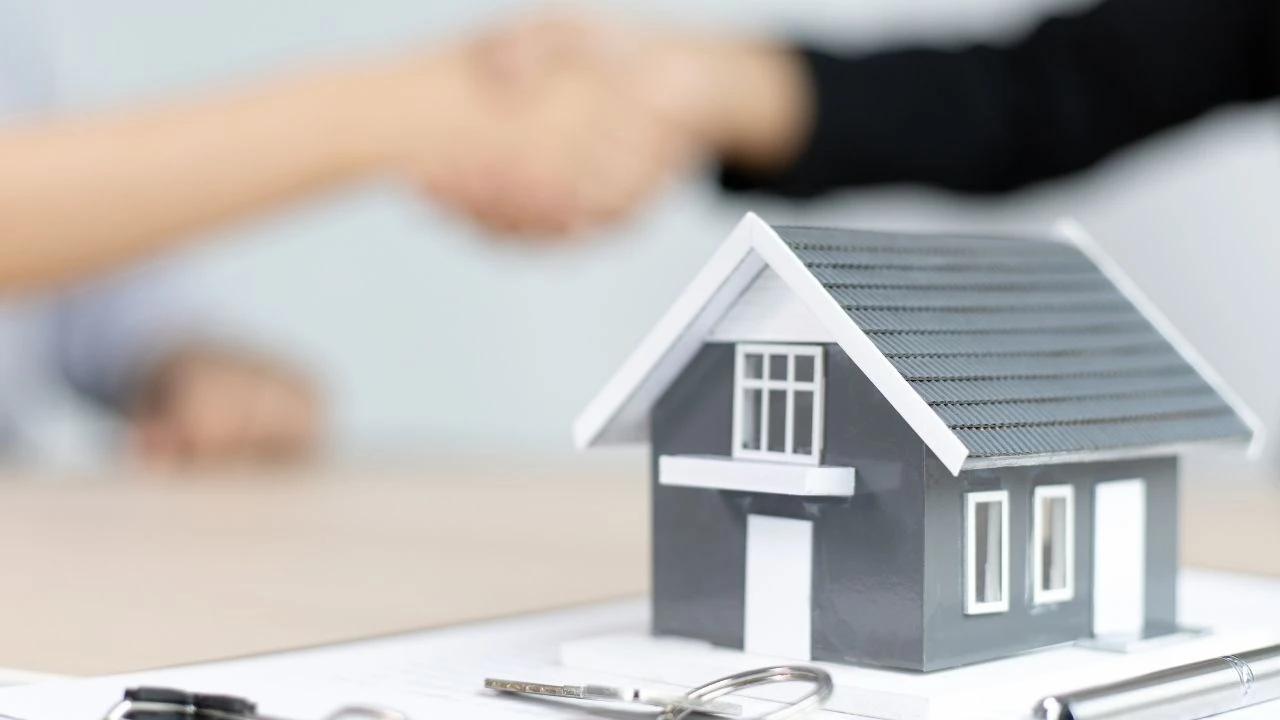 İslam Memiş yatırım tercihini açıkladı! "Bugün 1 milyon liram olsa..."