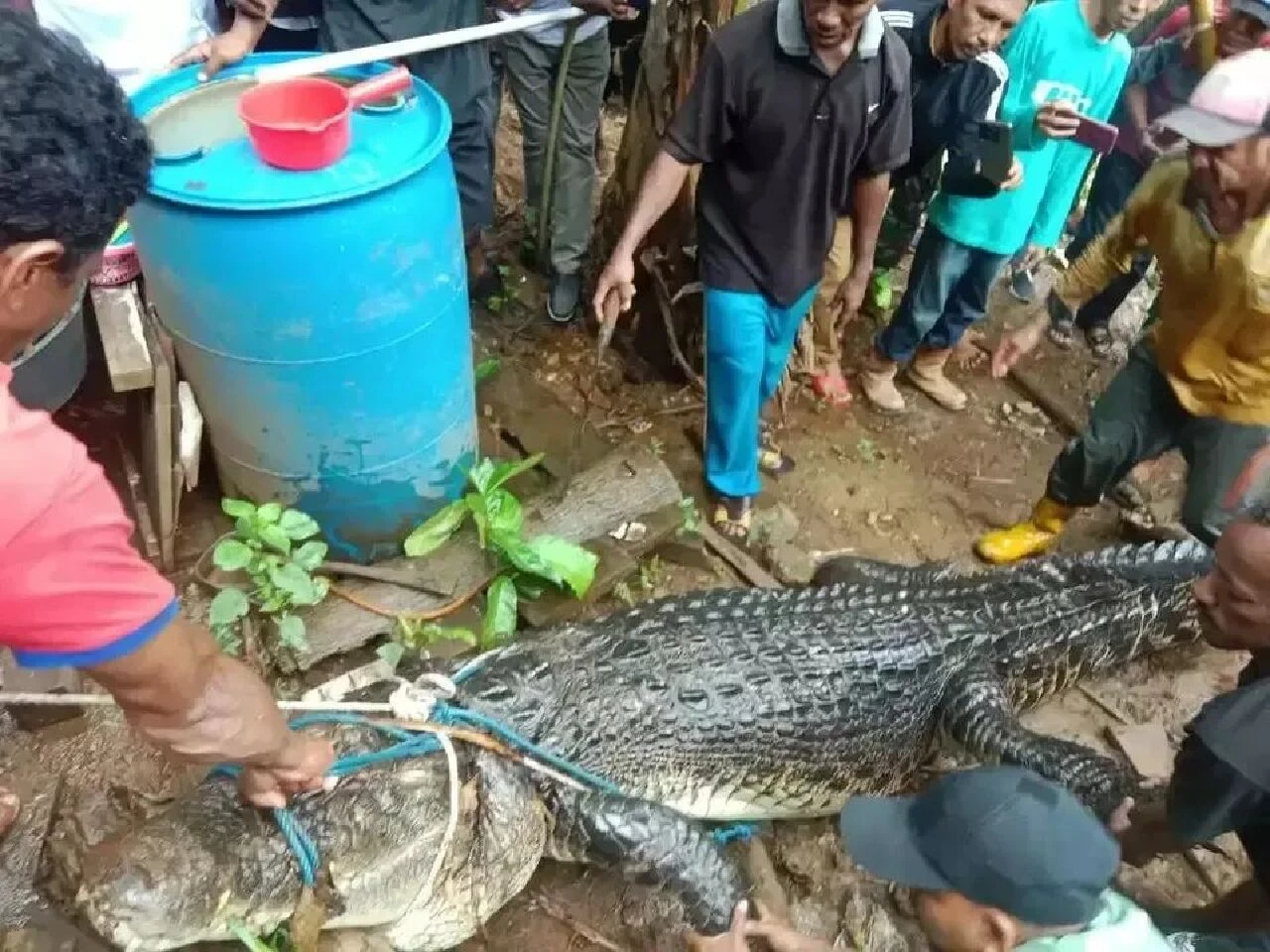 Nehirde bulaşık yıkarken dehşeti yaşadı! Timsahın içinden kalıntıları çıktı - 2. Resim