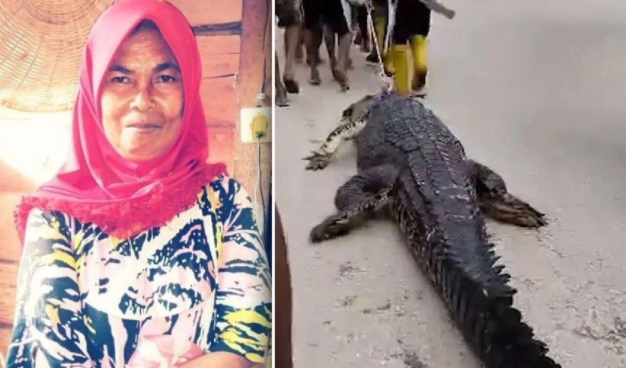 Nehirde bulaşık yıkarken dehşeti yaşadı! Timsahın içinden kalıntıları çıktı - 1. Resim