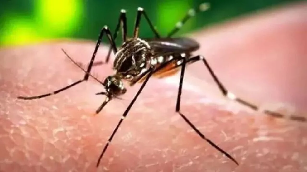 Son dakika | Sağlık Bakanlığı açıkladı! 6 kişide Nil virüsü çıktı - 1. Resim