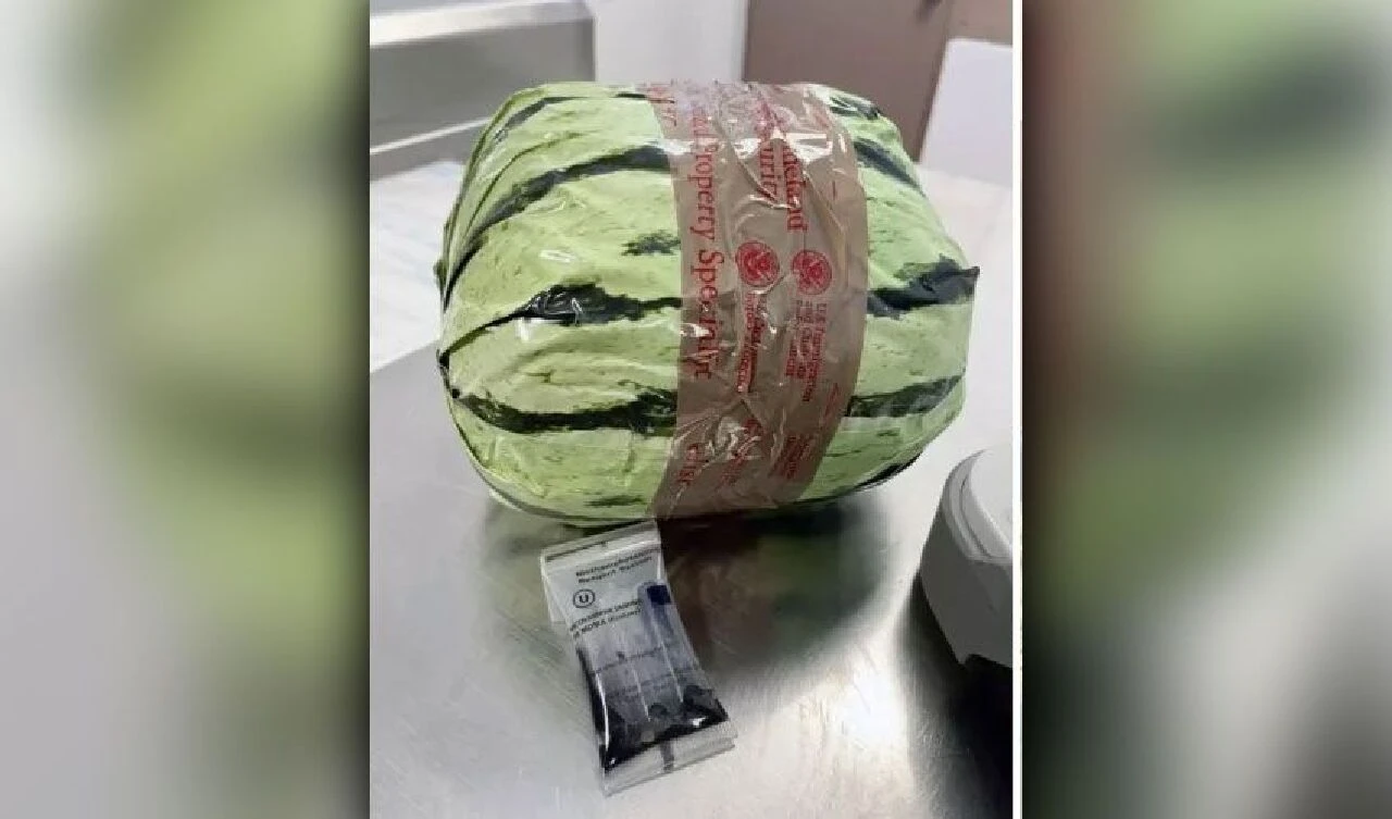 Tuhaf görünümlü karpuzlardan zehir çıktı! 5 milyon dolar değerinde - 1. Resim
