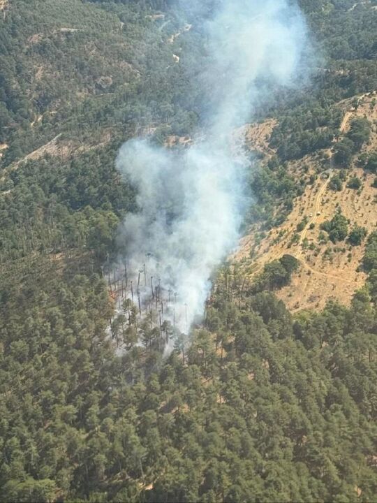 Aydın ve Malatya'da alevlerle mücadele! Havadan ve karadan müdahale sürüyor - 1. Resim