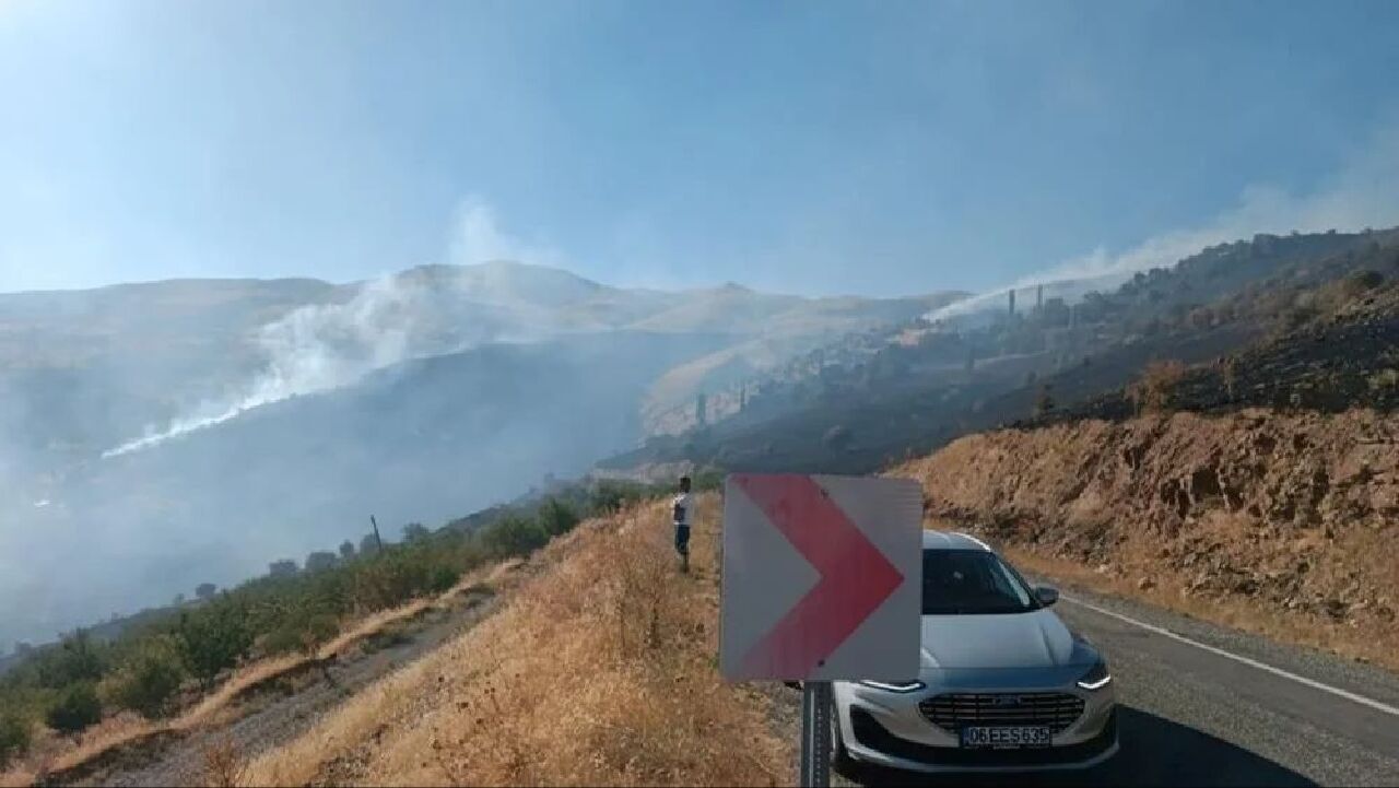 Aydın ve Malatya'da alevlerle mücadele! Havadan ve karadan müdahale sürüyor - 4. Resim