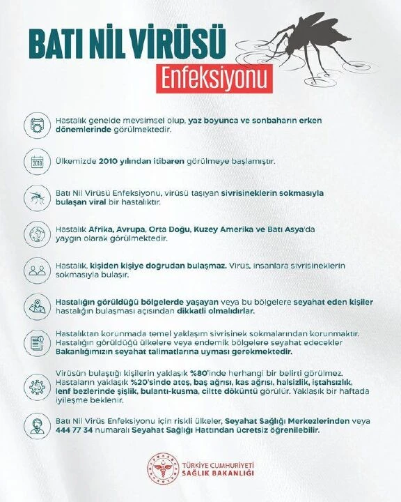 Batı Nil Virüsü, Türkiye'de 2024 yılında 6 kişide görüldü