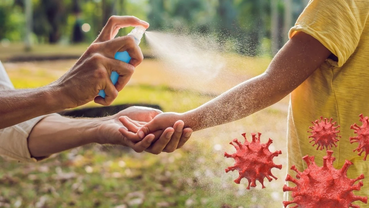 Batı Nil Virüsü, Türkiye'de 2024 yılında 6 kişide görüldü