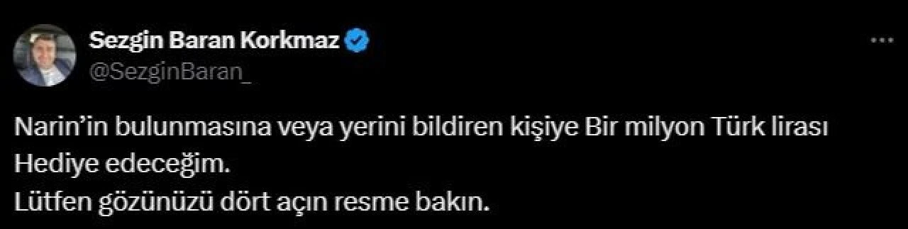 Diyarbakır'da kaybolan Narin Güran'dan henüz haber alınamadı - 1. Resim