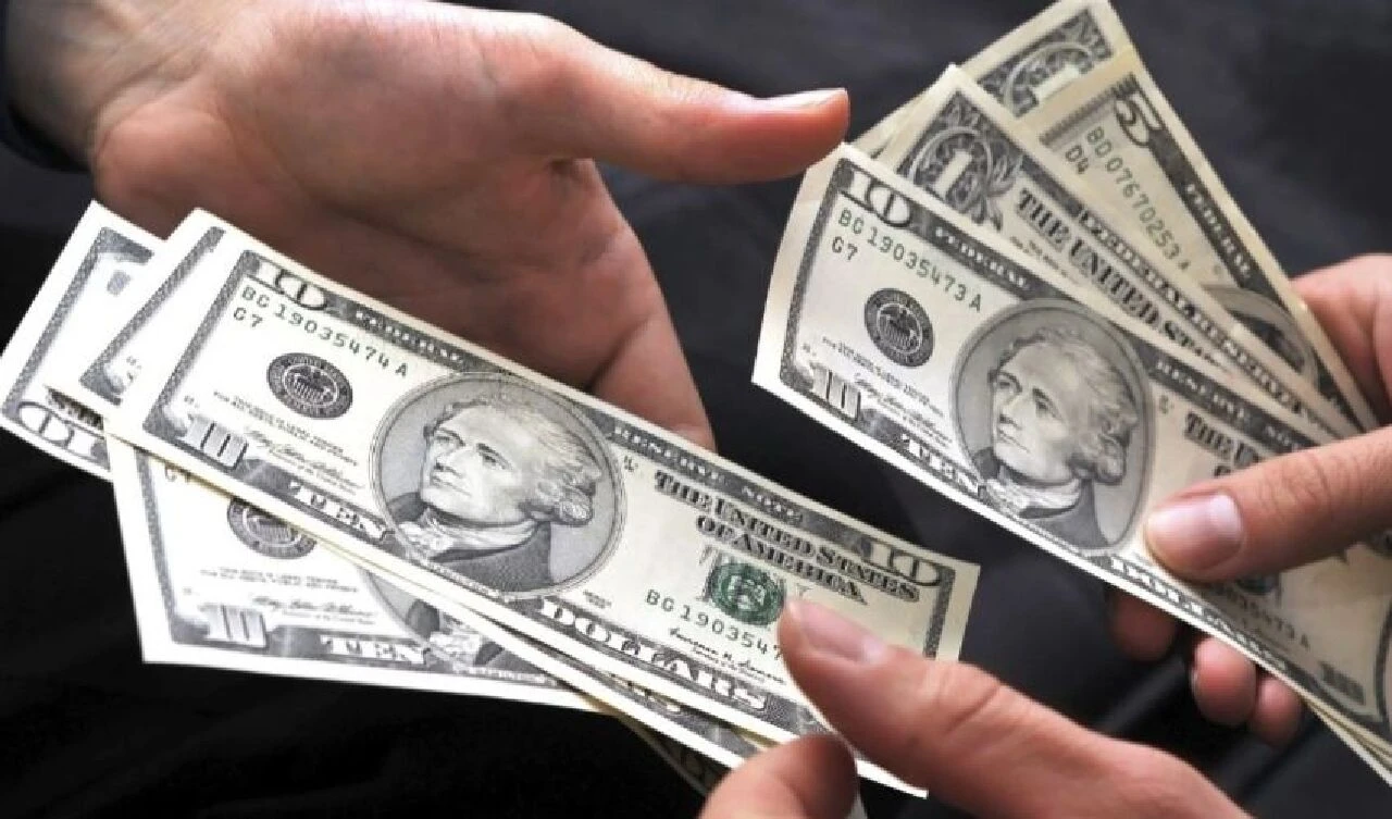 Dolar/TL için şaşırtan tahmin! Alman bankadan enflasyon vurgusu: Dolar için hem tarih hem seviye verdi - 2. Resim