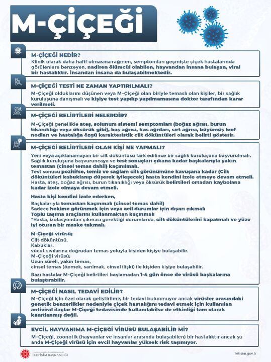 İletişim Başkanlığından maymun çiçeği bilgilendirmesi! Merak edilenler cevap buldu  - 2. Resim