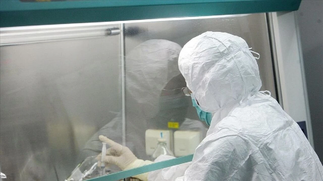 İstanbul Havalimanı Başhekimi Kavak’tan Maymun Çiçeği virüsü açıklaması: Havalimanı personeli ve hava yolu şirketleri dikkat!