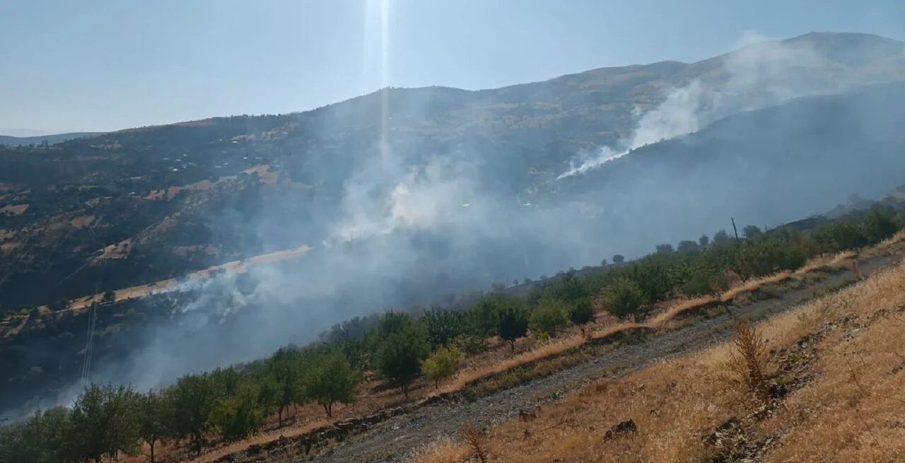 Malatya Pütürge'de çıkan yangın ormanlık alana sıçradı