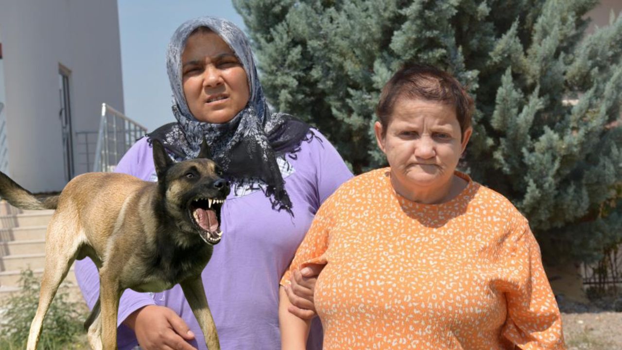 Yine başıboş sokak köpeği dehşeti! Minik kız oyun oynarken kâbusu yaşadı