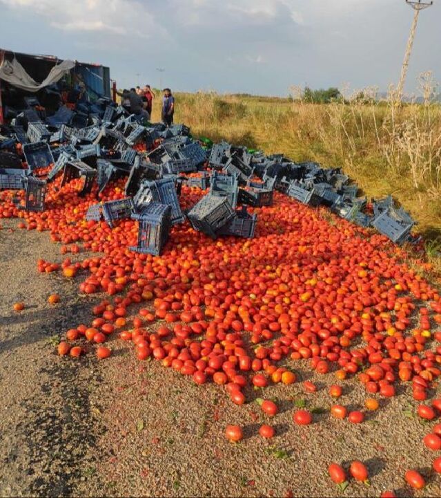 Adana'da domates yüklü kamyonetin devrildiği anlar anbean kameraya yansıdı! - 1. Resim