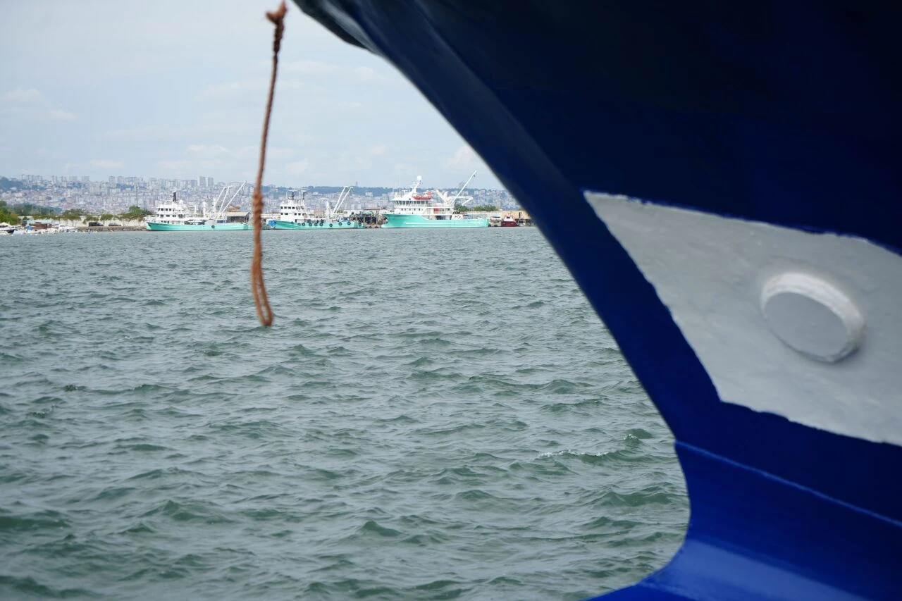 Hamsi altınla yarışacak! Hamsi avlanma kotası piyasayı altüst edecek