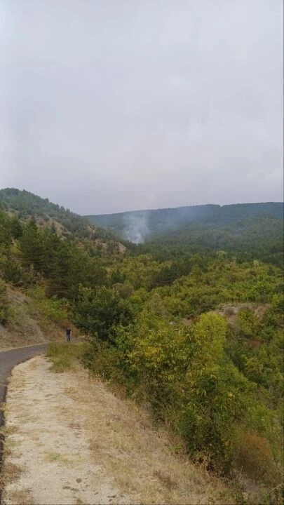 Karabük'te yangın yıldırım düşmesi sonucu çıkarken söndürme işlemleri sürüyor