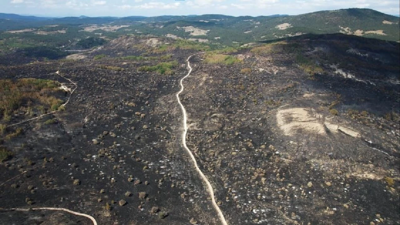 Ankara-Bolu sınırındaki yangının boyutu korkunç: Böyle felaket görmedim - 2. Resim