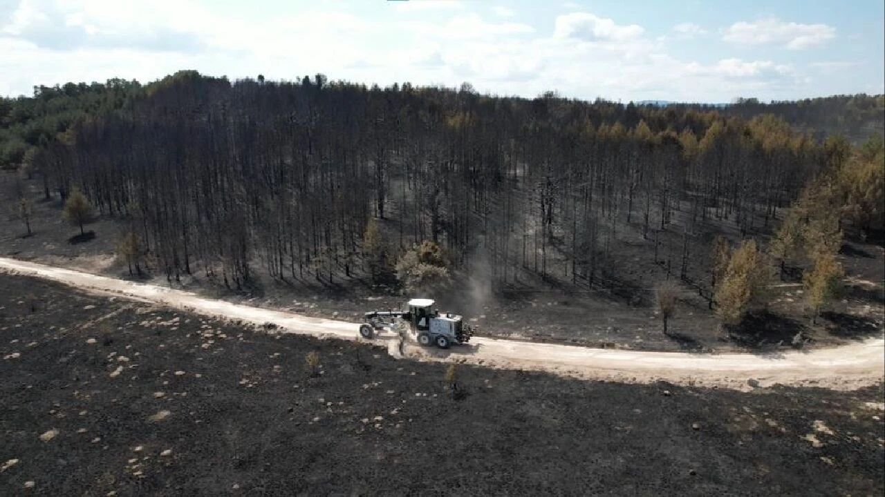 Ankara-Bolu sınırındaki yangının boyutu korkunç: Böyle felaket görmedim - 1. Resim