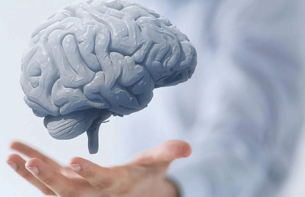 Beyin sağlığı için en güçlü 10 süper besin!  Alzheimer riskini azaltıyor
