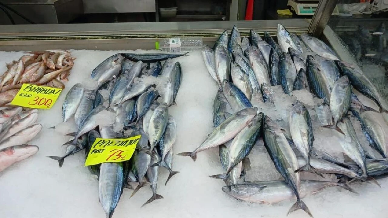 Çingene palamudunun fiyatı belli oldu! - 1. Resim