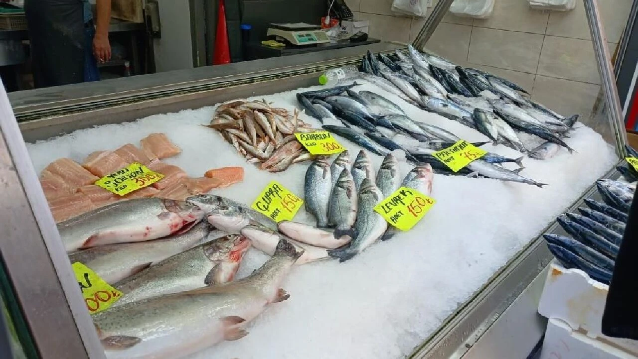 Çingene palamudunun fiyatı belli oldu! - 2. Resim