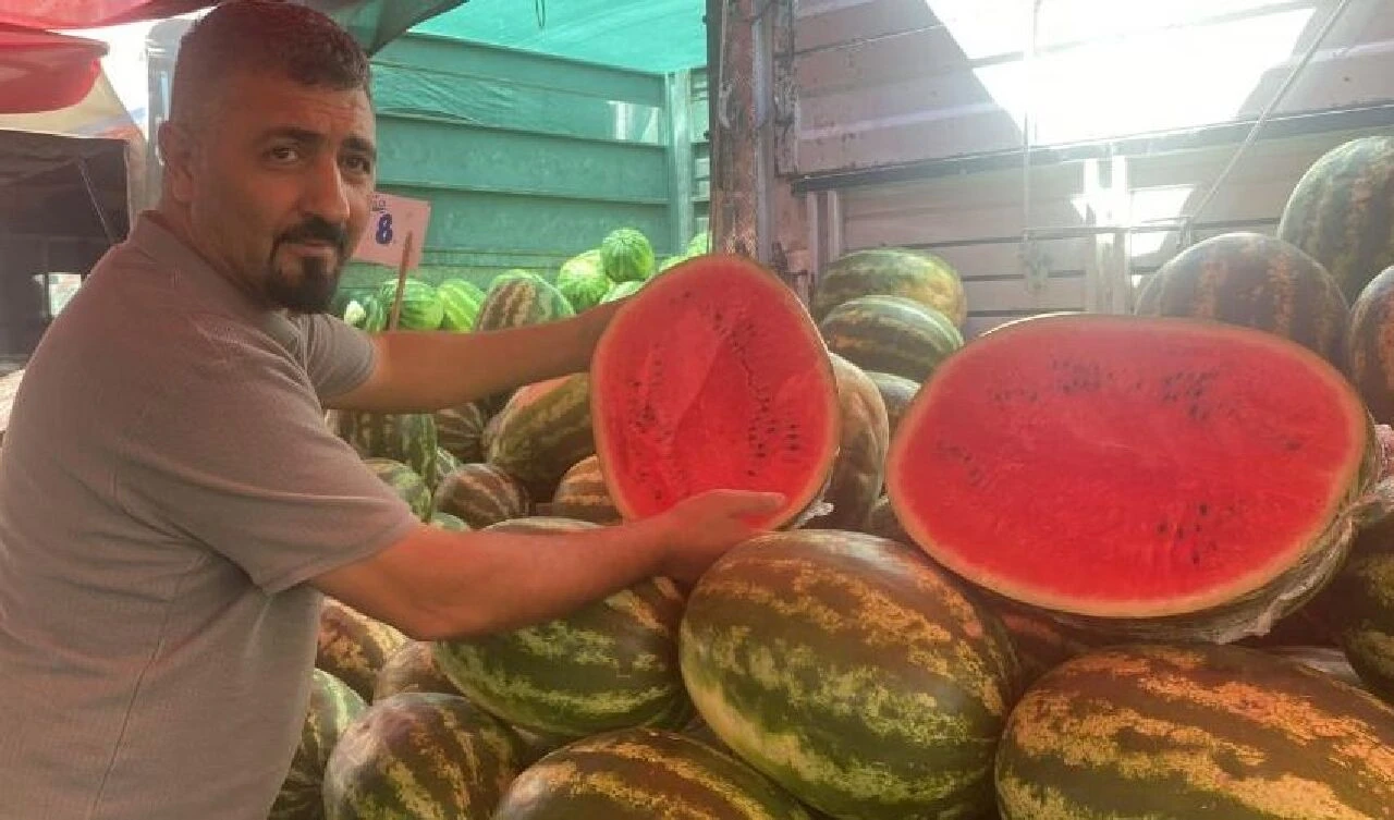 Dağa taşa karpuz ektiler, fiyatı yüzde 100'e düştü! Üretici 'Bedava' diyerek anlattı - 1. Resim