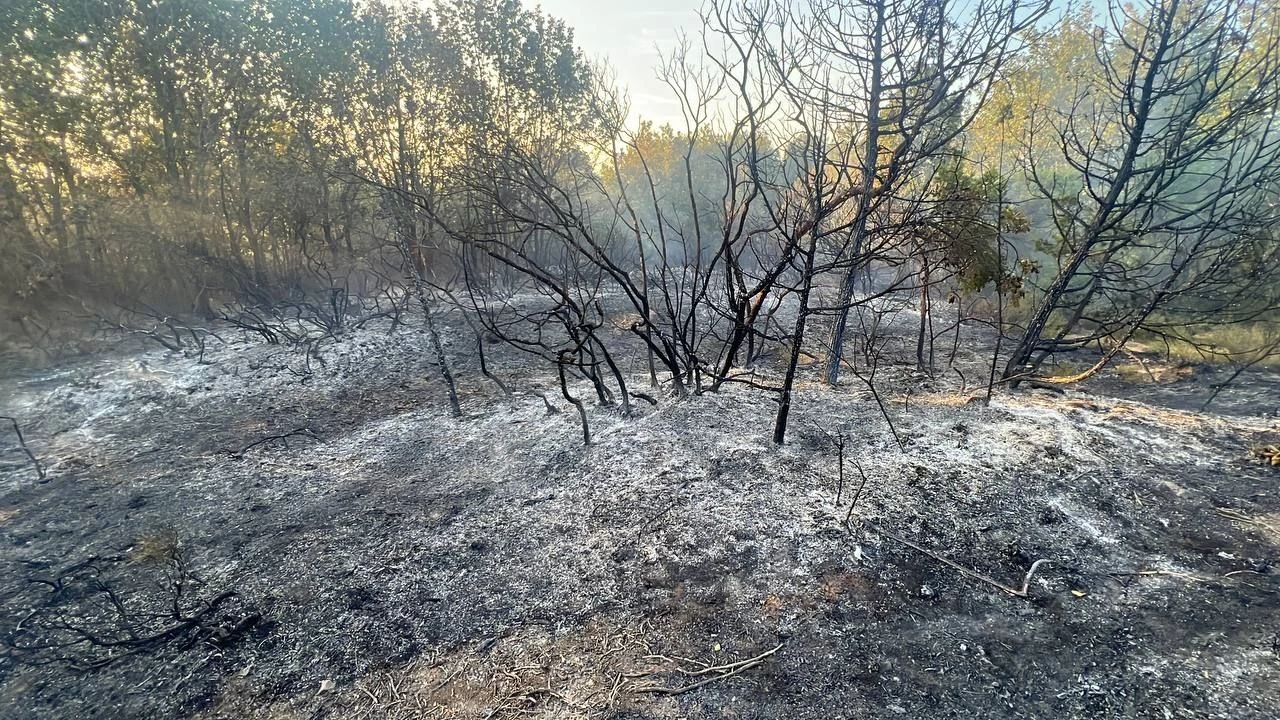 Kocaeli Gebze yangın ekipler tarafından söndürüldü! Soğutma çalışmaları devam ediyor
