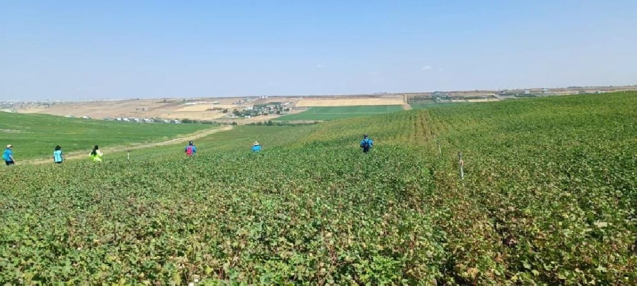 Diyarbakır’da kaybolan Narin’in annesi TGRT Haber’de: Çocuğumu bulun, başka anneler ağlamasın! - 4. Resim
