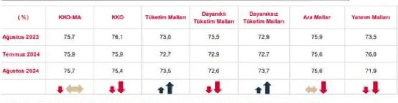 Kapasite kullanım oranı ağustosta düştü - 1. Resim