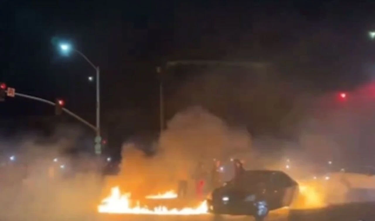 Yasadışı gösteri polisi harekete geçirdi! Terk edilen araçtan çıkan piton yılanı şoke etti - 2. Resim