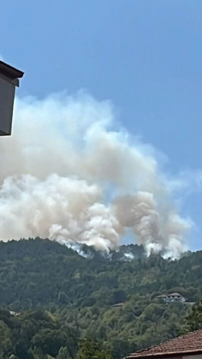 Zonguldak Devrek'te yangın henüz kontrol altına alınamadı - 2. Resim