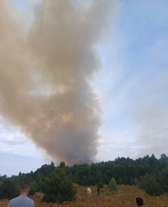 Zonguldak Devrek'te yangın henüz kontrol altına alınamadı - 4. Resim