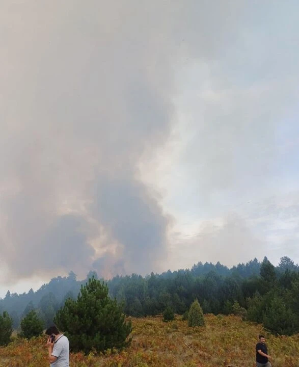Zonguldak Devrek'te yangın henüz kontrol altına alınamadı - 5. Resim