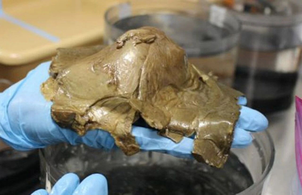 Bilim insanları okyanus yüzeyinde keşfetti! Gizemli altın küre hayrete düşürüyor