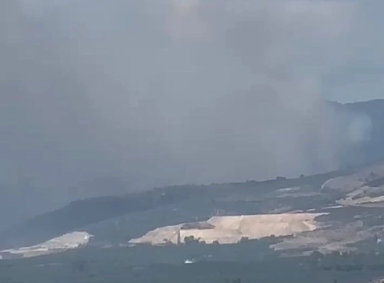 Bursa'nın İznik ilçesinde yangına müdahale devam ediyor