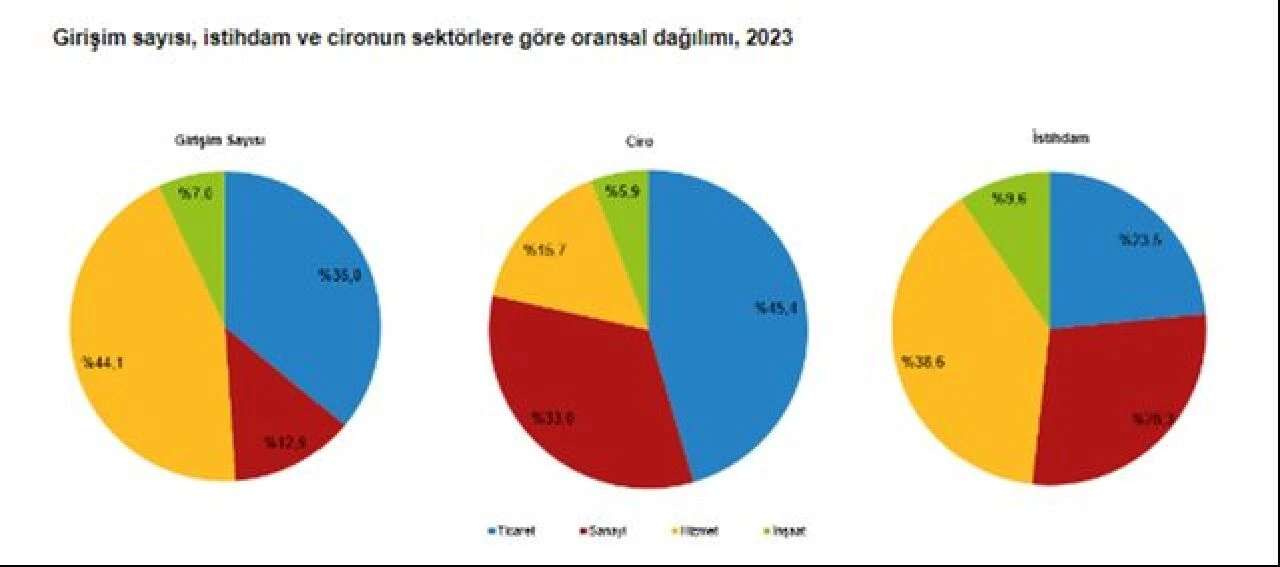 İstihdamda en yüksek pay hizmet sektöründe! Yıllık sanayi ve hizmet istatistikleri belli oldu - 1. Resim