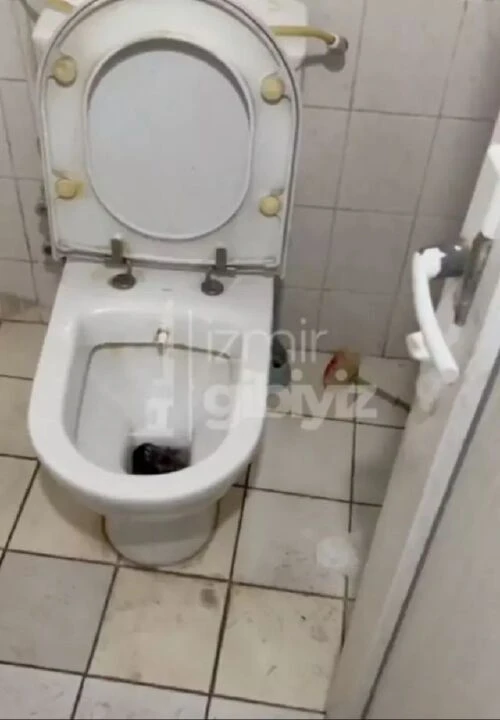İzmir'de korku dolu anlar! Klozetten fare çıktı, ne yapacaklarını şaşırdılar