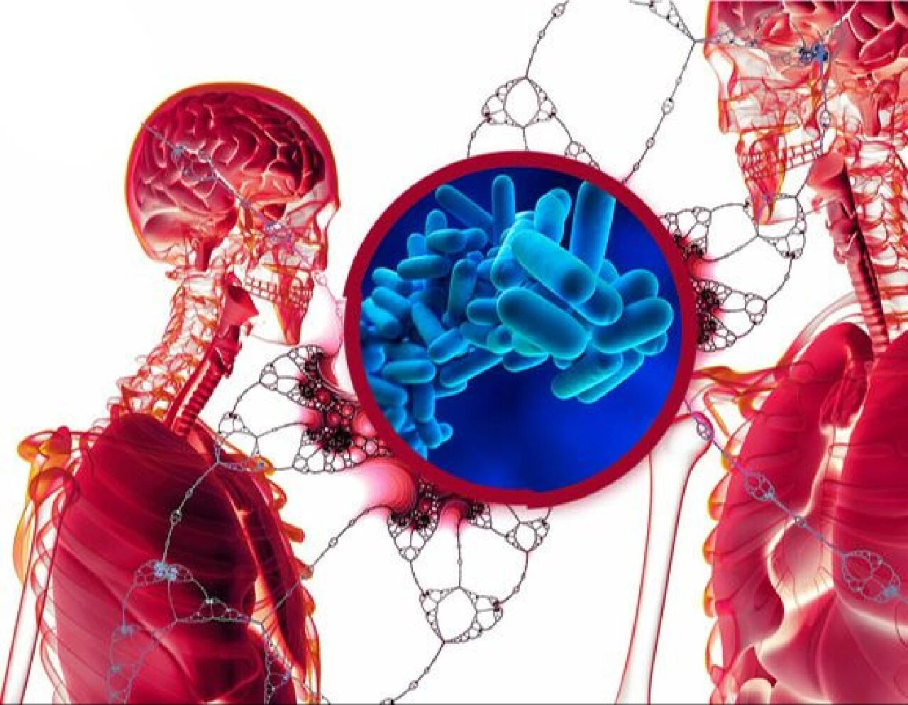 Lejyonella bakterisi öldürmeye devam ediyor! Evlere ulaşan su kaynakları araştırılıyor - 2. Resim