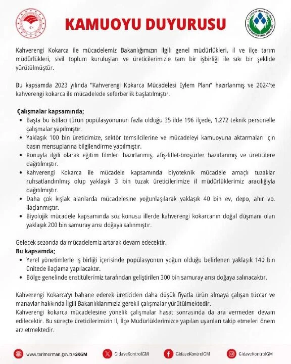 Artan kahverengi kokarcaları için samuray arısı doğaya salınıyor - 1. Resim