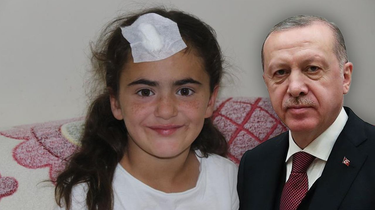 Cumhurbaşkanı Erdoğan bizzat talimat verdi! Küçük Ada&#039;ya ışık oldu