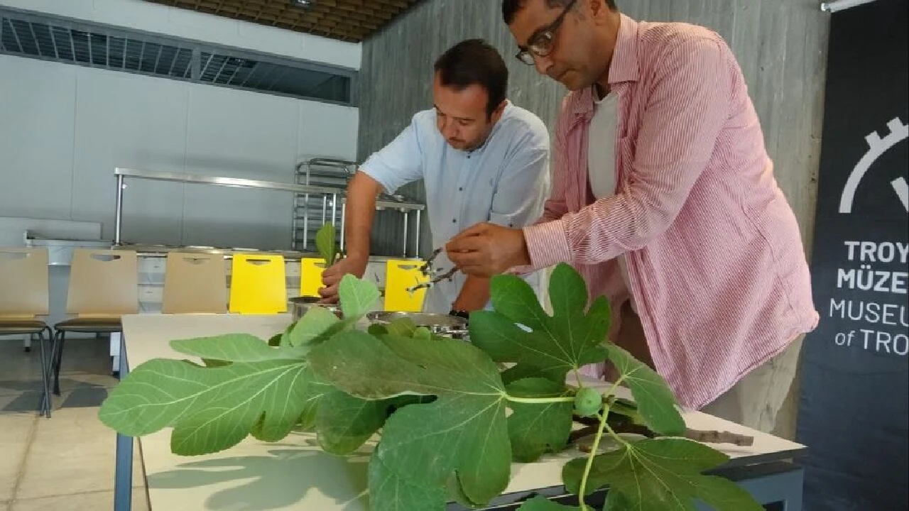 Homeros'un İlyada Destanı'ndan çıktı! 2750 yıllık tarifle teleme peyniri yaptılar - 4. Resim