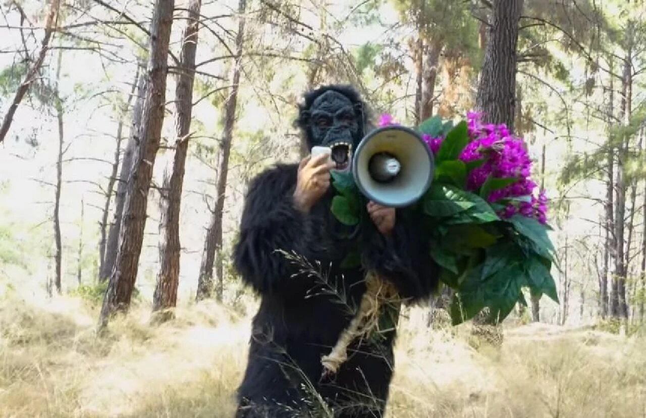 Şarkıcı Aydın Aydın'dan maymun çiçeği klibi! Goril kostümü giydi, sokaklara çıktı - 1. Resim