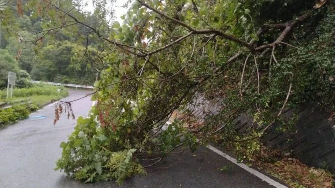 Shanshan Tayfunu alarmı! Uçuşlar durdu, tren seferleri iptal - 3. Resim