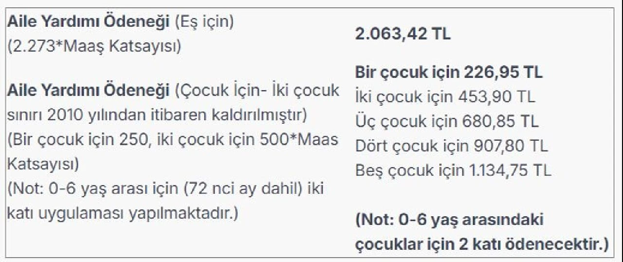 Aylık aile ve çocuk yardım ödeneği eylül ödemesi yatacak! İşte çocuk yardımı güncel tutarları