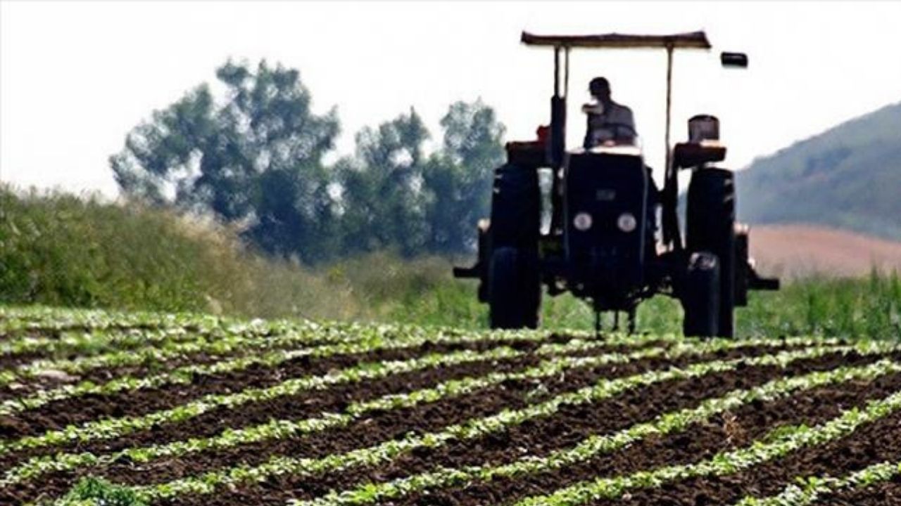 Çiftçiye mazot, gübre ve prim desteği kaldırıldı! 2025 yılı yeni destek  sistemi açıklandı | TGRT Haber