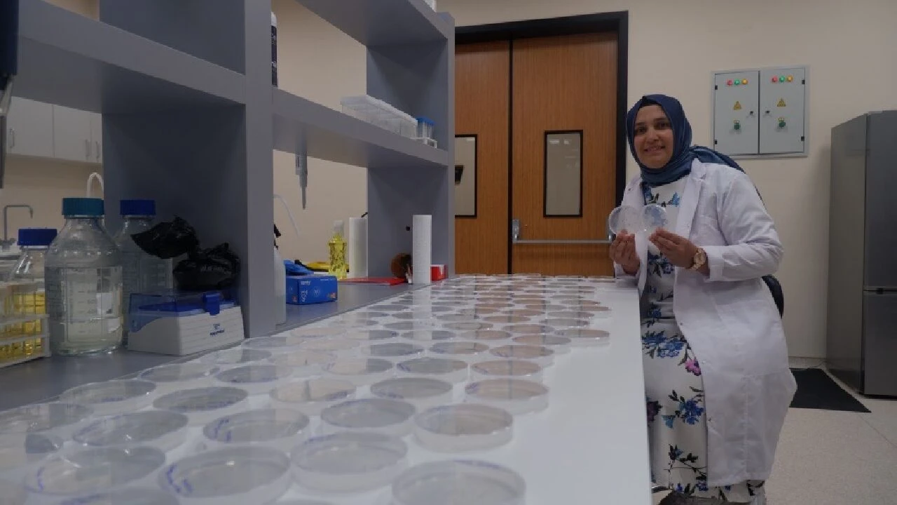 Erzurum'dan dünya tarımına katkı: D vitamini yöntemi, 'geleceğin sorununu' çözecek - 3. Resim