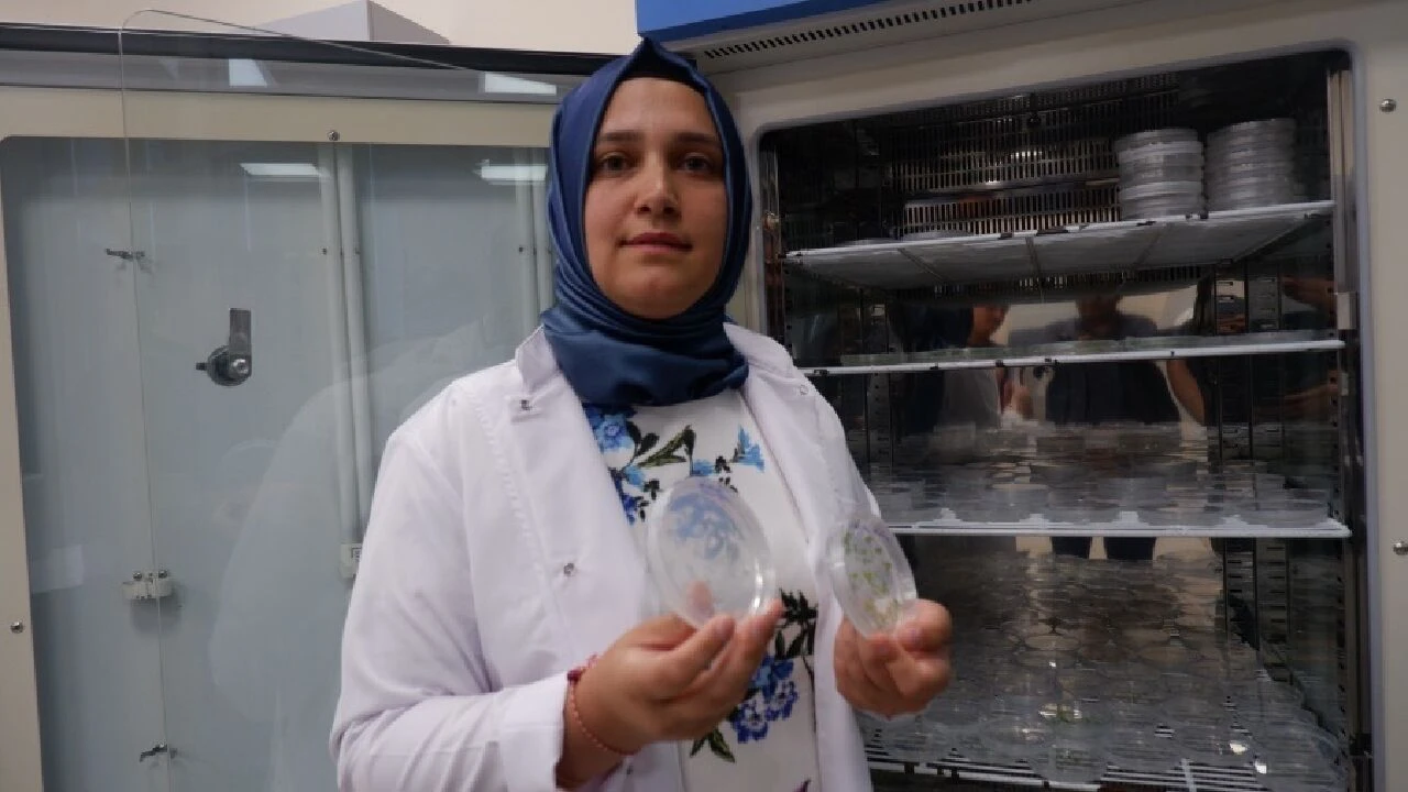 Erzurum'dan dünya tarımına katkı: D vitamini yöntemi, 'geleceğin sorununu' çözecek - 2. Resim