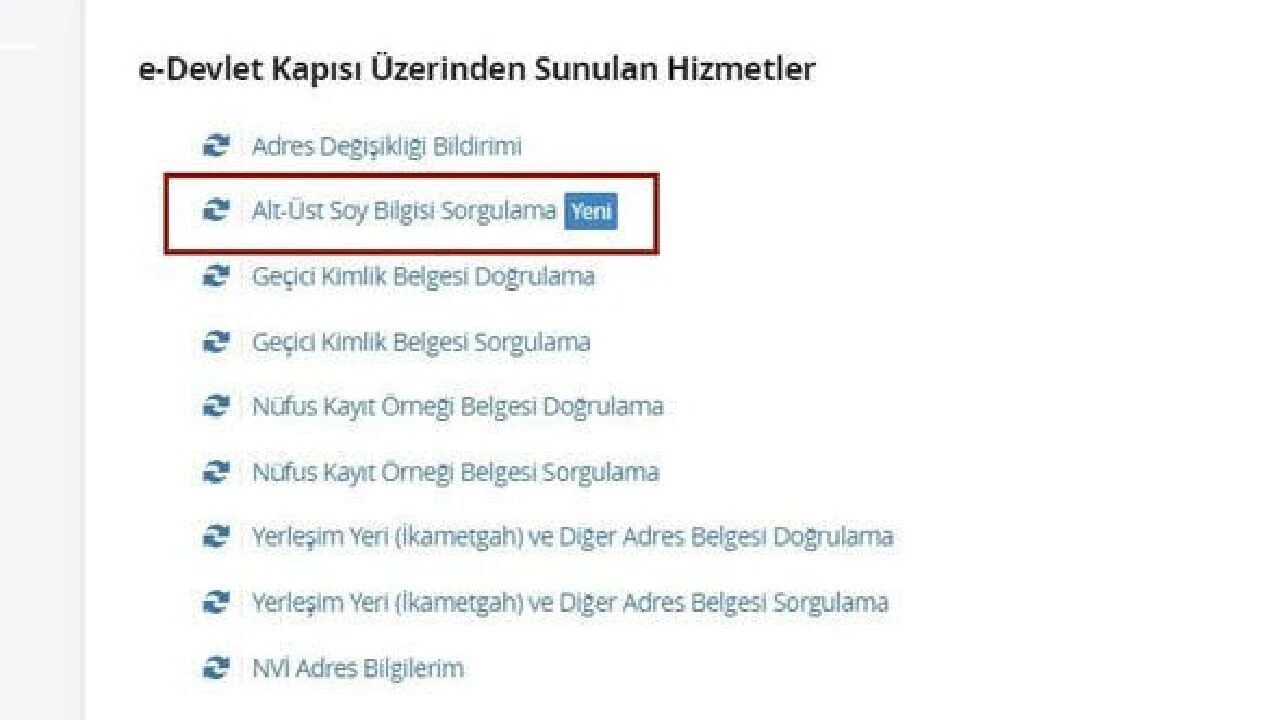 Avantajlı vatandaşlık alma imkanı: E-devletinizi kontrol edin! Bu yöntemi kimse bilmiyor - 2. Resim