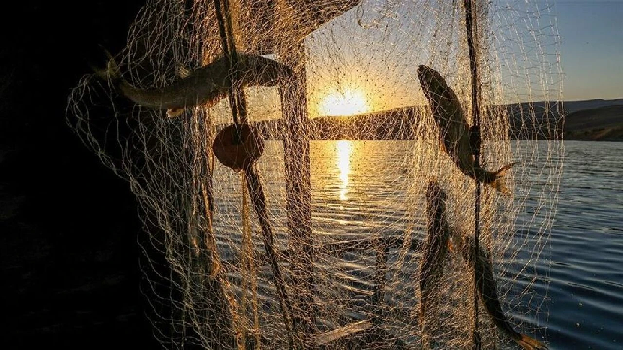 Balıkçılar için geri sayım başladı: Av sezonu 1 Eylül’de açılıyor