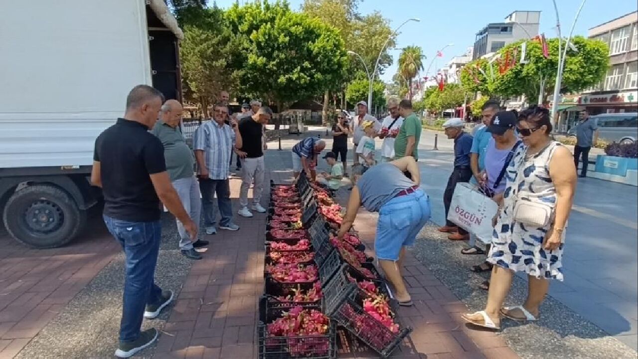 Aracılara kızdı hepsini bedava dağıttı! Tanesi 150 lira, kapış kapış gitti - 4. Resim